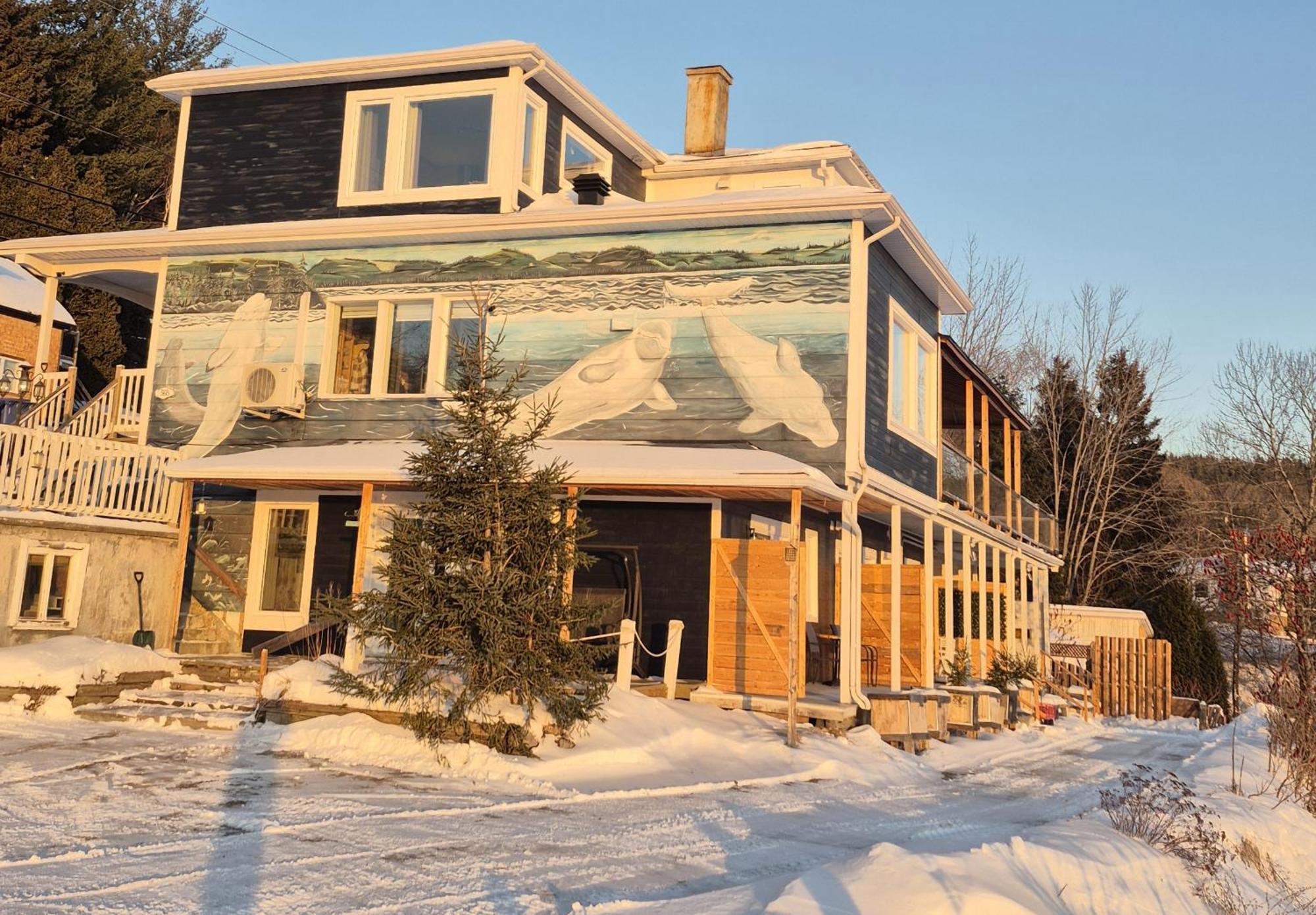 Suite 2 Fleche Du Fjord Vue Saguenay Mont Valin Saint-Fulgence ภายนอก รูปภาพ